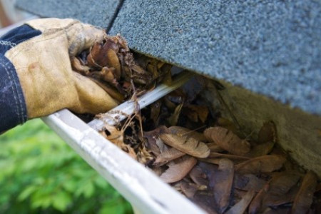 What Is A Gutter Guard?