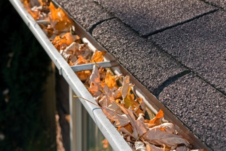 Gutter Cleaning Is A Must - Here's Why