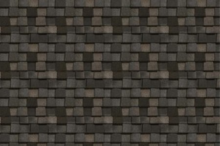 Serious Damage To Asphalt Shingle Roofs Thumbnail