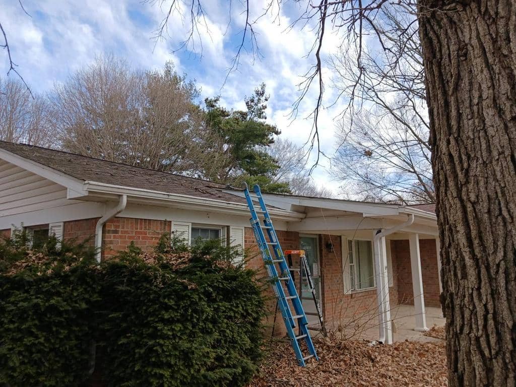 Wall Flashing and Raccoon Prevention Project