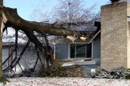 Wind, Hail, Fire & Trees