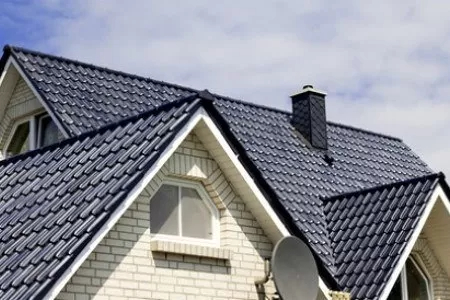 Synthetic Roof